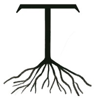 Tempasse LLC logo - Similar company to Chapter App