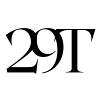 TwentyNine Tech logo - Similar company to 29Tech