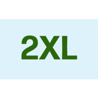 2Xl Studio