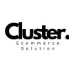 Cluster Global Business Solutions logo - Similar company to Us Retail