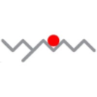 Vyom Solutions Inc