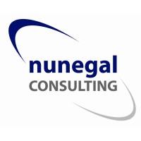 Nunegal Consulting logo - Similar company to Odeene Ingeniería