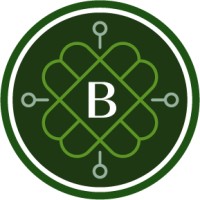 Blindwells logo - Similar company to Forth Directive Solutions Ltd