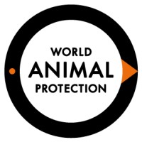 World Animal Protection AUNZ logo - Similar company to Vdalta