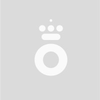 TOPNET SA logo - Similar company to Guriansoft