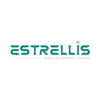 ESTRELLIS logo - Similar company to Abel Advisory Services