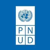 PNUD en América Latina y el Caribe logo - Similar company to Caf -Banco De Desarrollo De América Latina Y El Caribe-