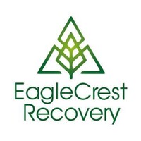 EagleCrest Recovery logo - Similar company to Cybersolve_De