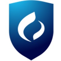 COSECURE logo - Similar company to Ravdal