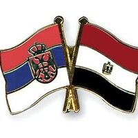 Embassy of the Arab Republic of Egypt in Serbia logo - Similar company to Flourish Study