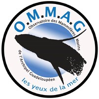 OMMAG (Observatoire des Mammifères Marins de l'Archipel Guadeloupéen) logo - Similar company to Éleau