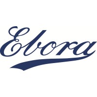 Ebora GmbH logo - Similar company to Total Hydraulics