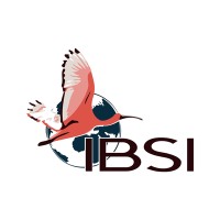 IBSI logo - Similar company to Thinksight
