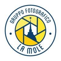 Gruppo Fotografico La Mole logo - Similar company to Gruppo Tfs