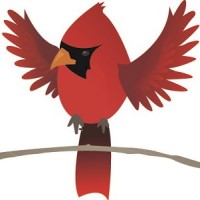 Gilligallou Bird Inc. logo - Similar company to Kalshea Commodities Inc