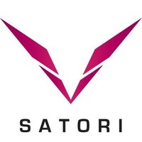 Satori sp. z o.o. logo - Similar company to Pacad