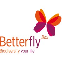 BetterflyBox logo - Similar company to Artcrush.Com
