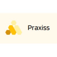 Praxiss Export logo - Similar company to Ifa-Benin