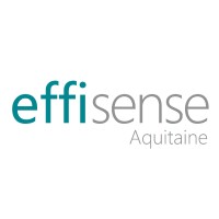 EFFISENSE Aquitaine logo - Similar company to Electroclim