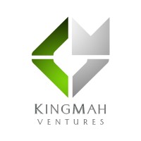 KingMah Ventures logo - Similar company to Curagers