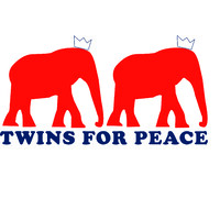 Twins For Peace logo - Similar company to Nvh Studios