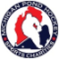 Michigan Pond Hockey Sports Charities