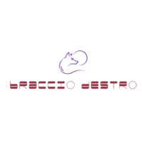 Braccio Destro logo - Similar company to Sheree