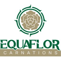 Equaflor Carnations logo - Similar company to Thermische Controle
