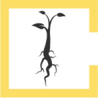 Taproot Learning logo - Similar company to Taproot Learning Connections