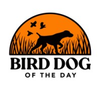 Bird Dog of the Day