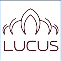 Lucus Advisors LLC logo - Similar company to Fashtech