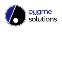 Pygme Solutions logo - Similar company to Practical