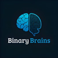 Binary Brains logo - Similar company to Thesisly.In