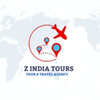 Z India Tours logo - Similar company to Tomato Holidays