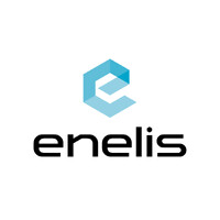 Enelis Informatika logo - Similar company to Vidal Next Kft.