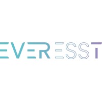 EverESSt logo - Similar company to 14It Bv