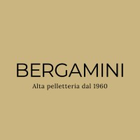 BERGAMINI1960 srl logo - Similar company to Crossing Views
