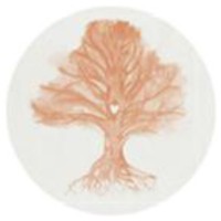 Oakewood Services & Oakewood Design logo - Similar company to Illuminating Concepts, A Division Of Imeg
