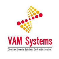 VAM Systems logo - Similar company to 01 Systems