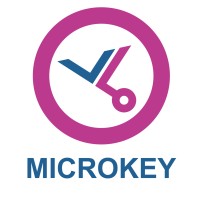 MEMCO MICROKEY by AVIRE | España logo - Similar company to E-Controls