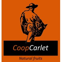 Cooperativa Agrícola Sant Bernat Coop V logo - Similar company to Revacitrus Sl