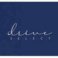 Drive Select SP logo - Similar company to Simba Digital Brasil.