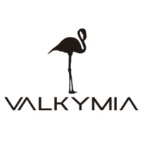 Valkymia logo - Similar company to Avnc