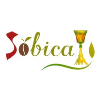 SOBICA SODELI logo - Similar company to Upkeep Media Inc.