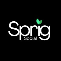 Sprig Social logo - Similar company to Dragon Social Ltd.