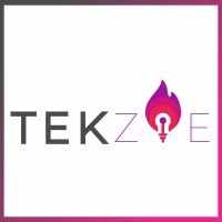 Tekzie logo - Similar company to Basidia