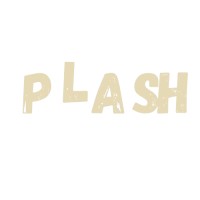 Plash.es logo - Similar company to Citymakers