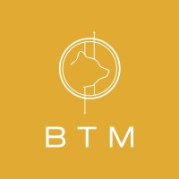 BTM logo - Similar company to Pwr2Tp