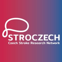 STROCZECH, FNUSA-ICRC logo - Similar company to Icontio | Software Innovations