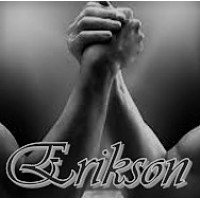 Erikson Human Resources logo - Similar company to Travel Shield Canada